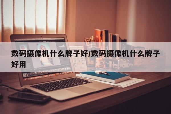 数码摄像机什么牌子好/数码摄像机什么牌子好用
