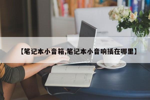 【笔记本小音箱,笔记本小音响插在哪里】