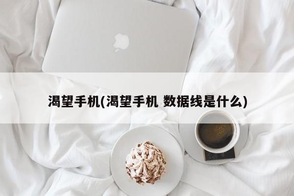 渴望手机(渴望手机 数据线是什么)