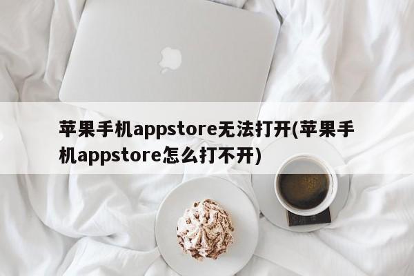 苹果手机appstore无法打开(苹果手机appstore怎么打不开)