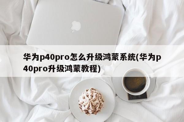 华为p40pro怎么升级鸿蒙系统(华为p40pro升级鸿蒙教程)
