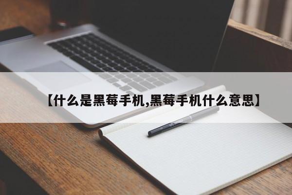 【什么是黑莓手机,黑莓手机什么意思】