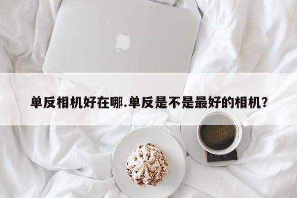 单反相机好在哪.单反是不是最好的相机？
