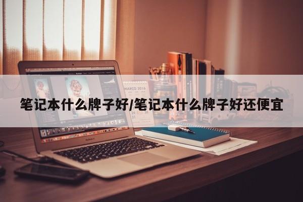 笔记本什么牌子好/笔记本什么牌子好还便宜
